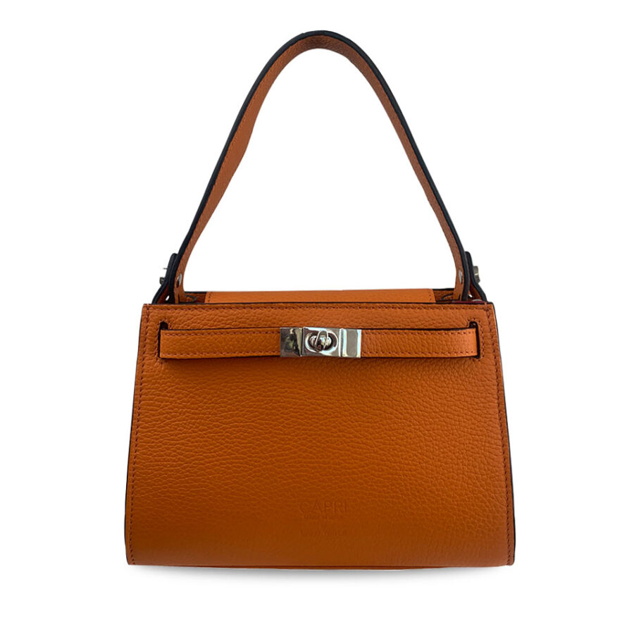 Borsa Holly Mini 22 Alce stampato Orange